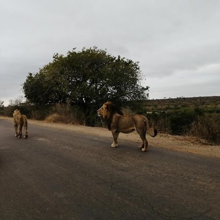Hotel Yebo Safaris, Glamping Adventures Skukuza Exterior foto