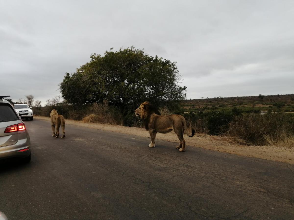 Hotel Yebo Safaris, Glamping Adventures Skukuza Exterior foto